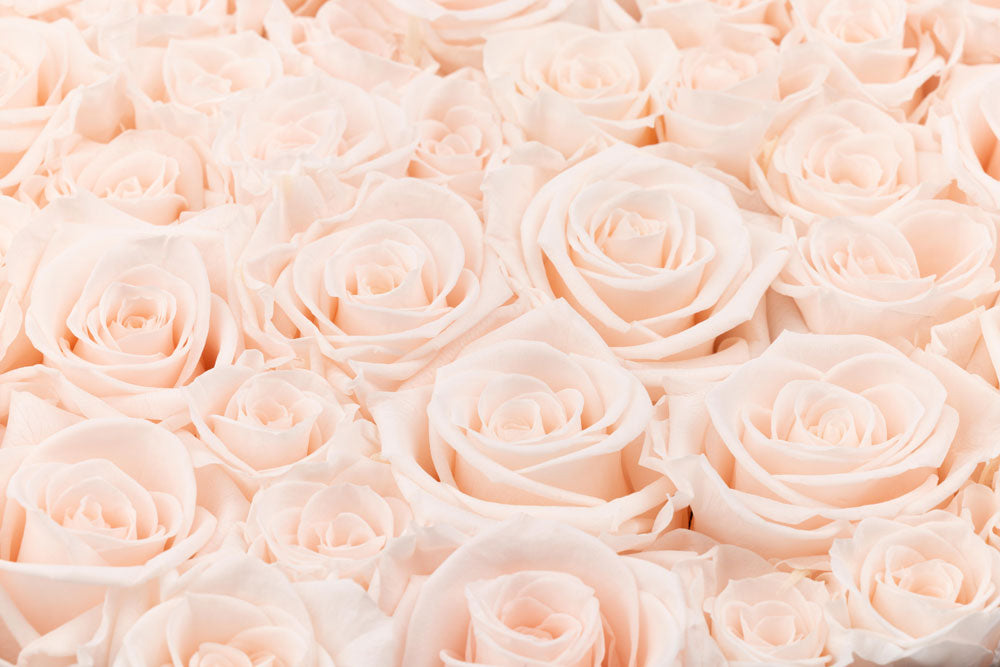 Experience unparalleled luxury with Ville de Paris Eternity Roses—a gift that offers timeless beauty and sophistication.
