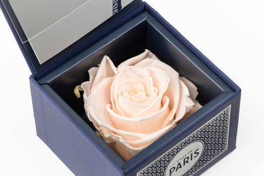 Introducing our exquisite Ville de Paris Black Box with Leather Effect, showcasing a stunning pink eternity rose. This luxurious presentation features a removable lid and a two-fold message card for that personal touch.