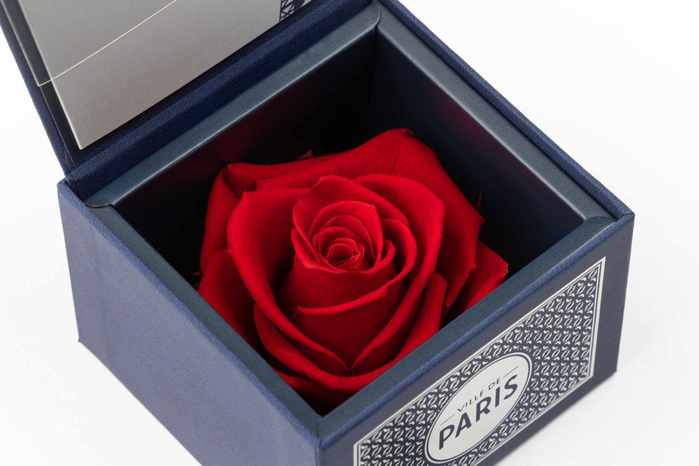 Introducing our exquisite Ville de Paris Black Box with Leather Effect, housing a stunning red eternity rose. 